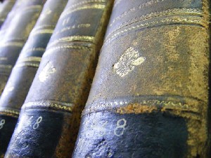 biblioteca 009 copy.jpg